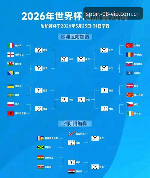 2026世界杯观赛体验深度评测：地缘政治与签证政策如何影响球迷热情